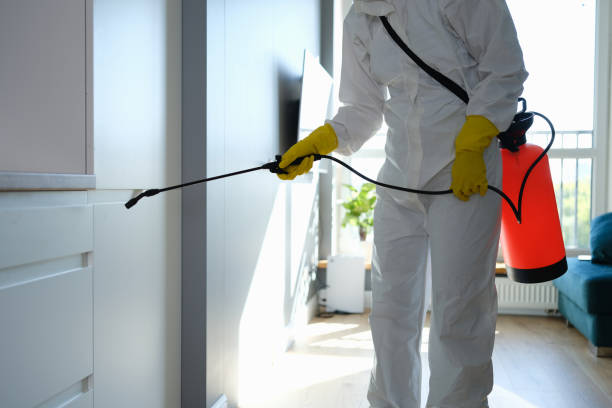 Best Mold Testing and Inspection Services in Hallowell, ME