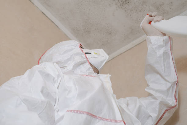 Best Mold Remediation for Schools in Hallowell, ME